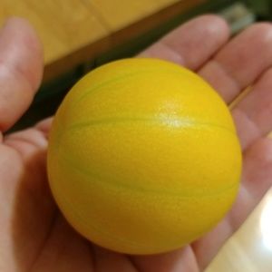 Meet your Posher, Young